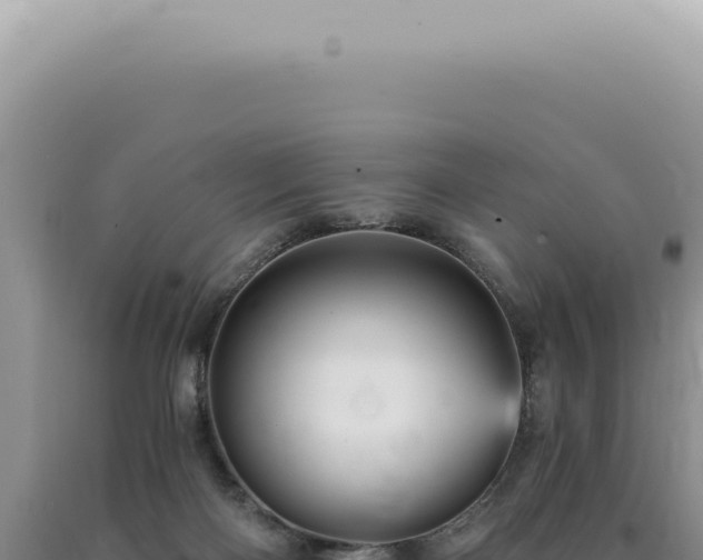 X0000090780122200707271557