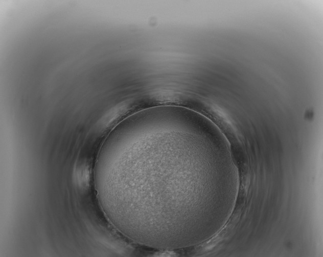 X0000090780124200707271557