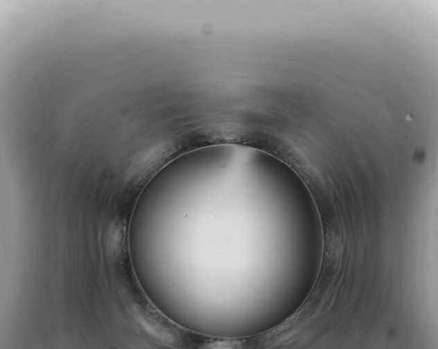 X0000090780126200707271557