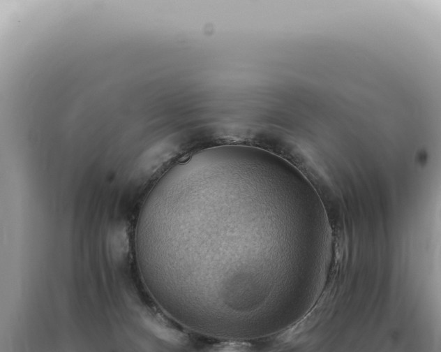 X0000090780128200707271557