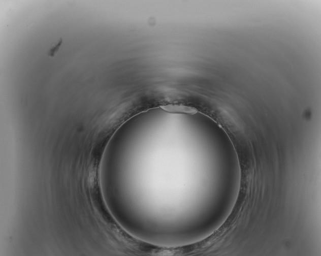 X0000090780129200707271557