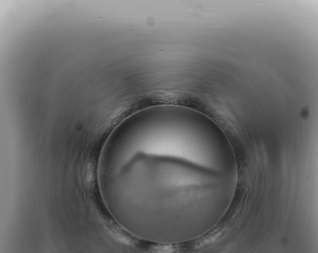 X0000090780131200707271557