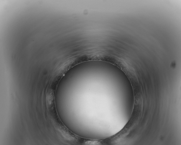 X0000090780133200707271557