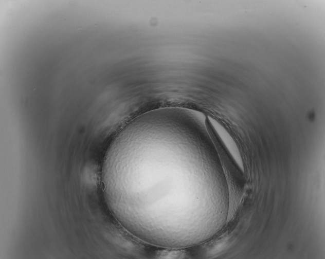 X0000090780135200707271557