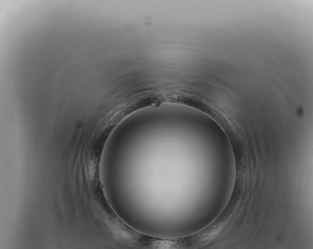 X0000090780139200707271557