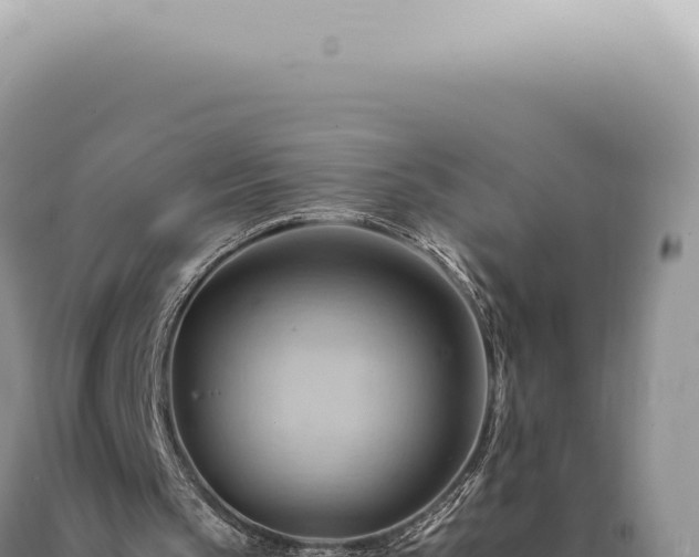 X0000090780145200707271556