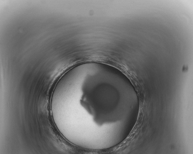 X0000090780146200707271556