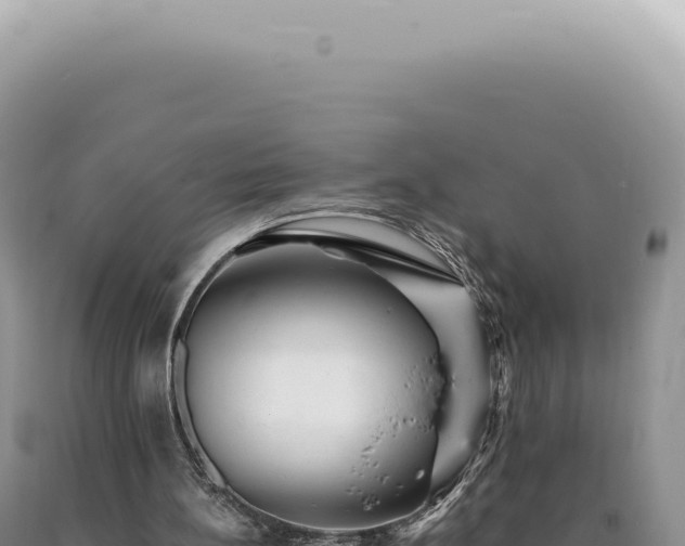 X0000090780148200707271556