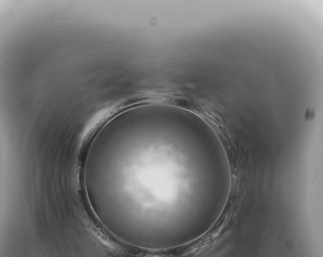 X0000090780149200707271556