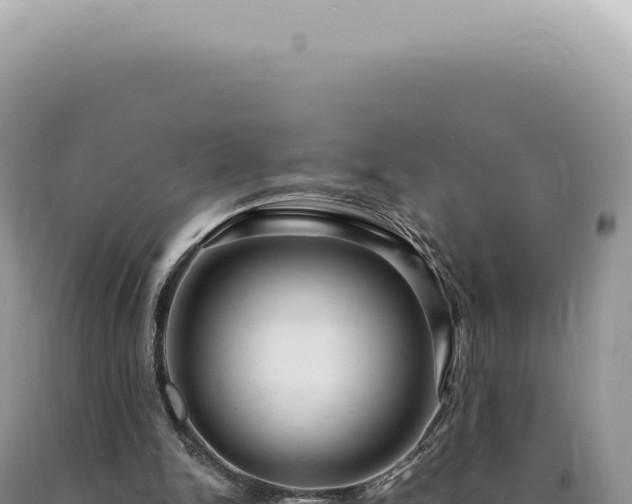 X0000090780150200707271556