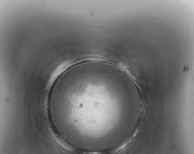 X0000090780151200707271556