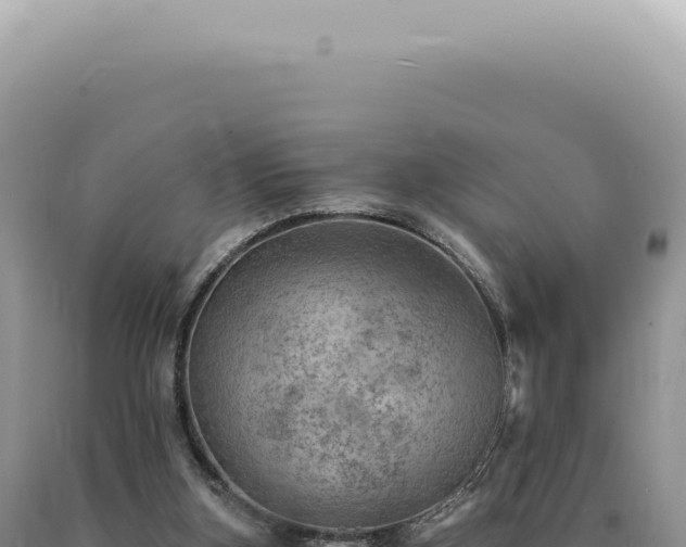 X0000090780155200707271556