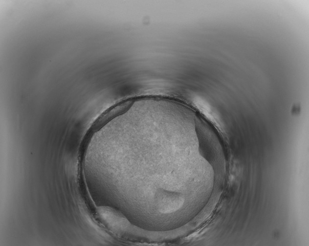 X0000090780156200707271556