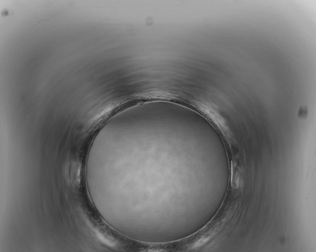 X0000090780157200707271556