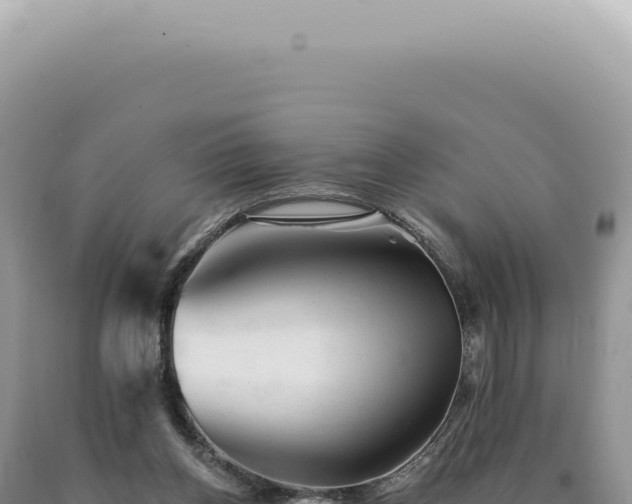 X0000090780158200707271556
