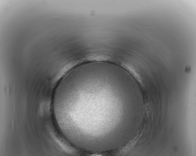 X0000090780159200707271556