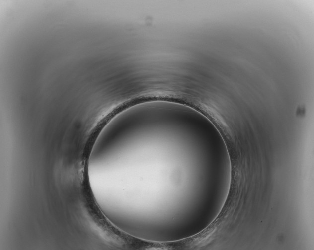 X0000090780160200707271556