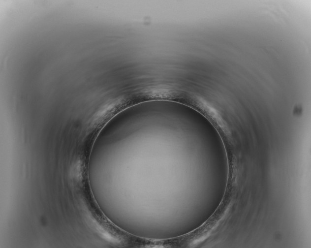 X0000090780161200707271556