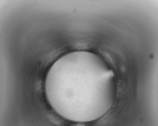 X0000090780162200707271556