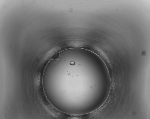 X0000090780163200707271556
