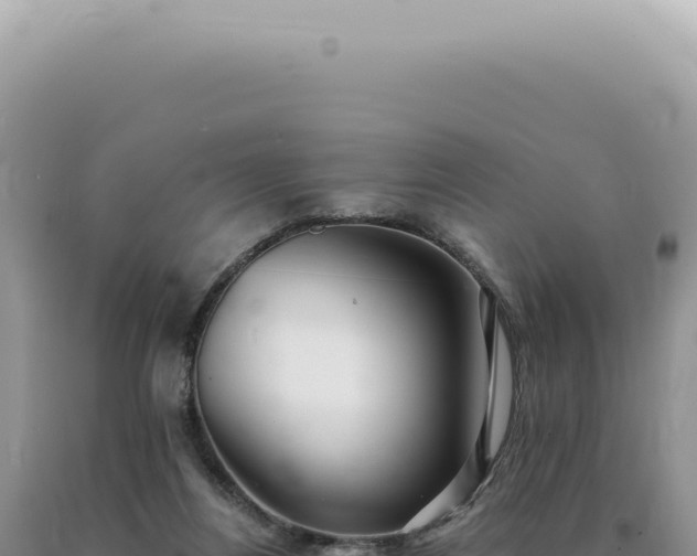 X0000090780164200707271556