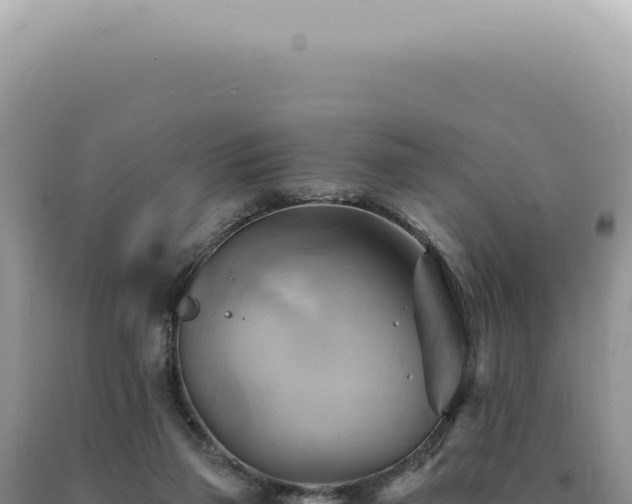 X0000090780165200707271556