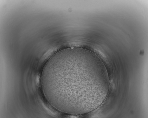 X0000090780166200707271556