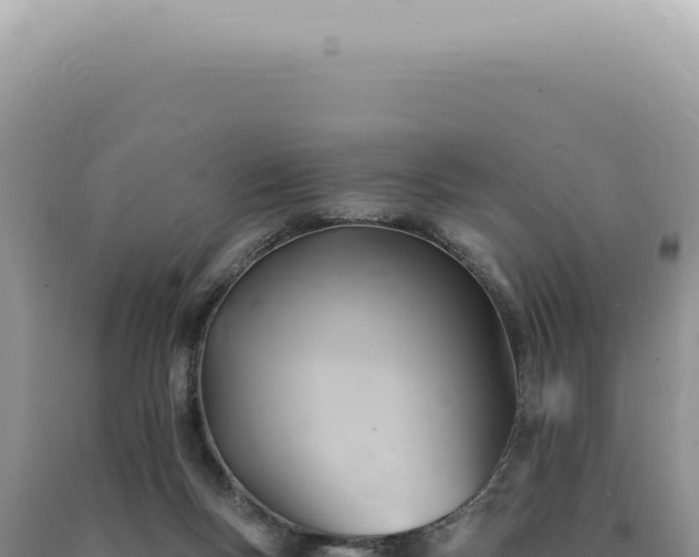 X0000090780167200707271556