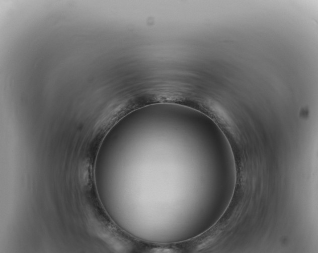 X0000090780169200707271556