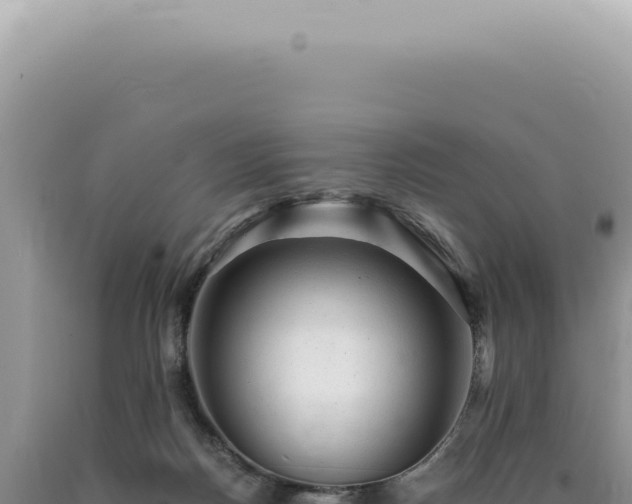 X0000090780170200707271556