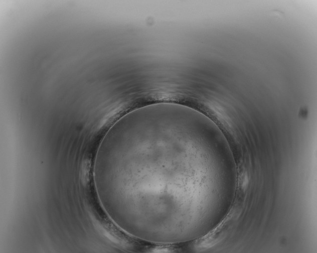 X0000090780171200707271556