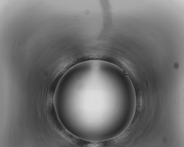 X0000090780172200707271556