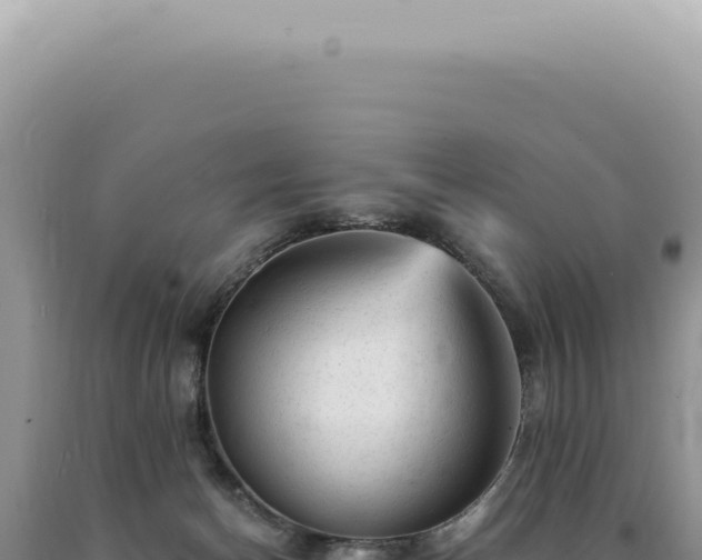 X0000090780174200707271557