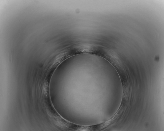 X0000090780175200707271557