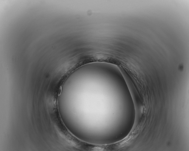 X0000090780176200707271557