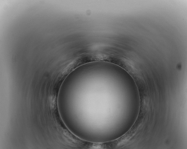 X0000090780177200707271557