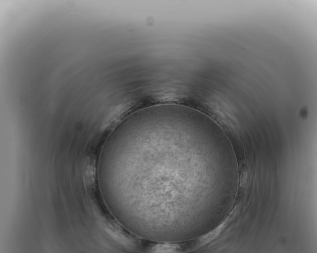 X0000090780179200707271557