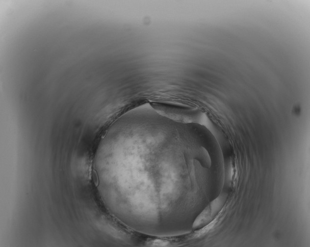 X0000090780180200707271557