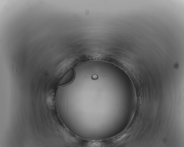 X0000090780181200707271557