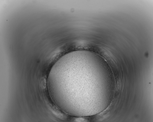 X0000090780183200707271557