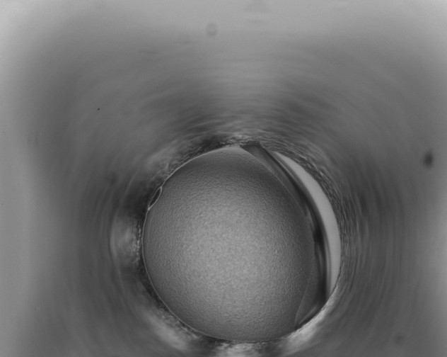 X0000090780186200707271557