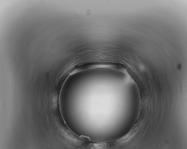 X0000090780188200707271557