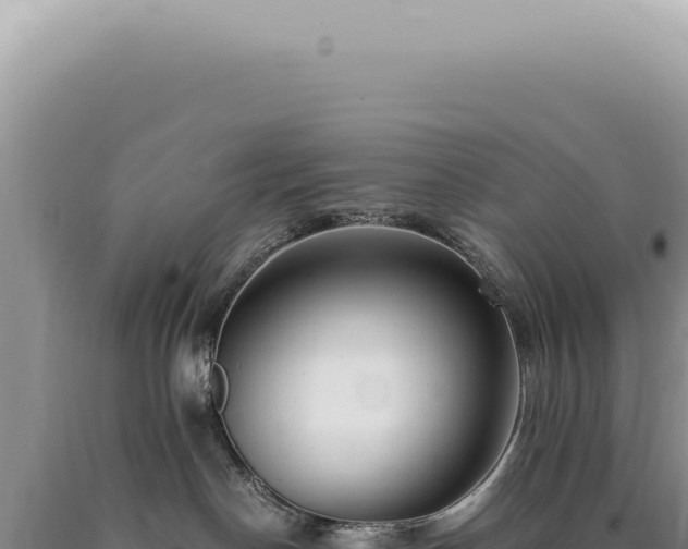 X0000090780190200707271557