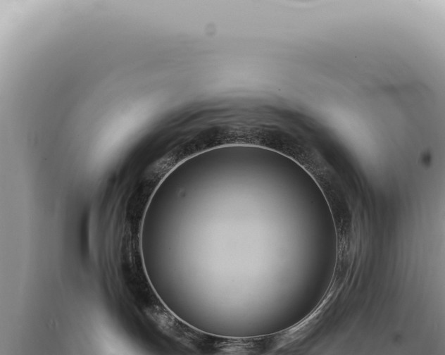 X0000090780191200707271557