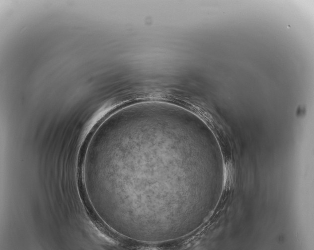 X0000090780195200707271556