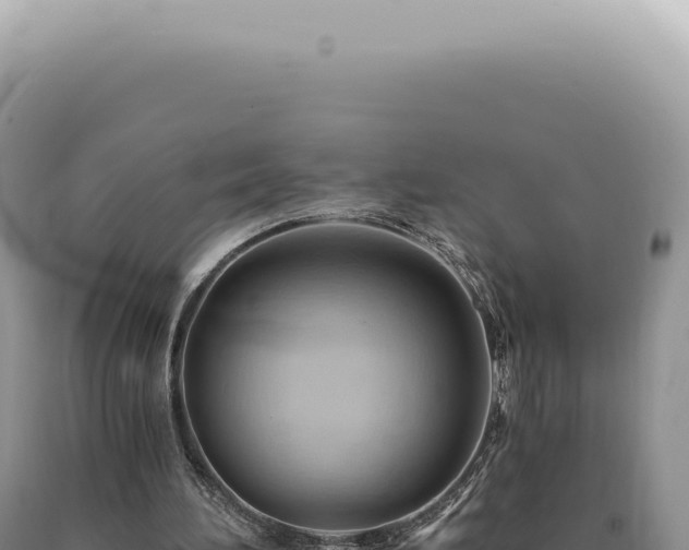 X0000090780196200707271556