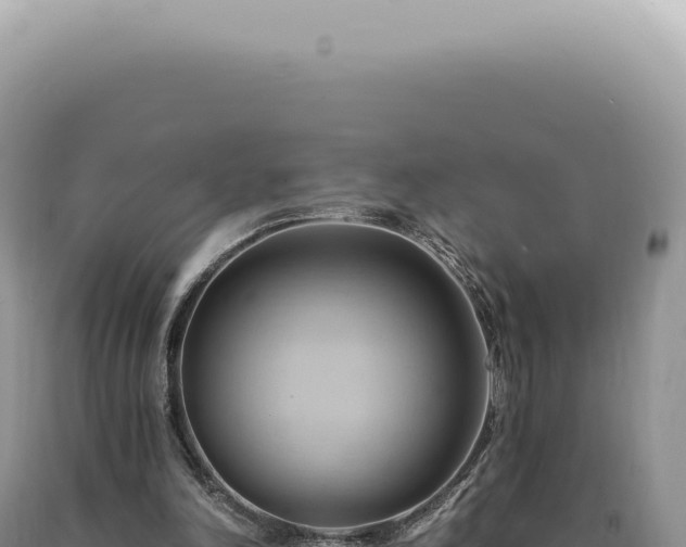 X0000090780198200707271556