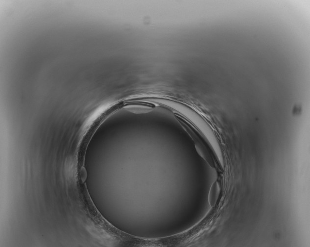 X0000090780200200707271556