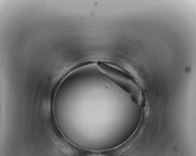 X0000090780202200707271556