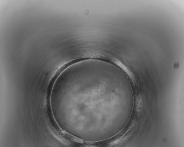 X0000090780203200707271556